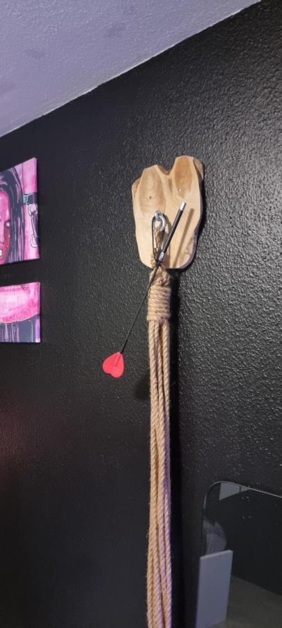 Le Coin Des Desirs Bdsm Apartman Strasbourg Kültér fotó